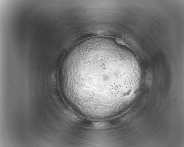 X0000068770461200605121706