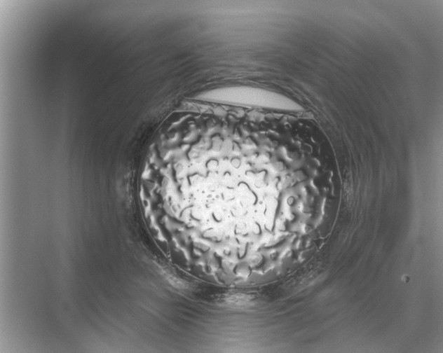 X0000068770462200605121706