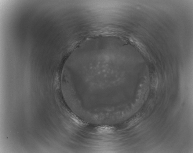 X0000068770465200605121706