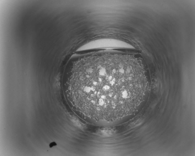 X0000068770466200605121706