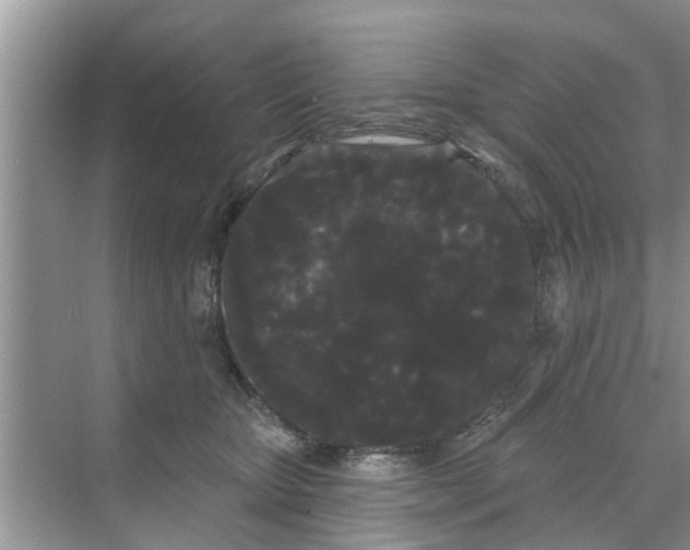 X0000068770467200605121706