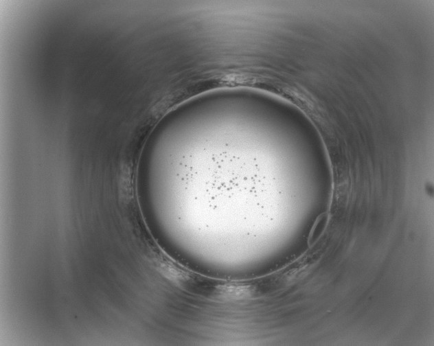 X0000068770469200605121706