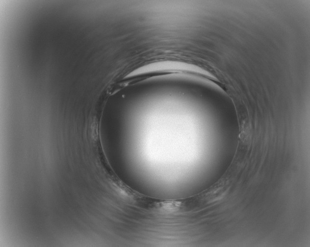 X0000068770474200605121706