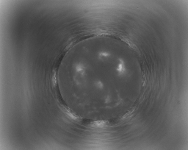 X0000068770479200605121706