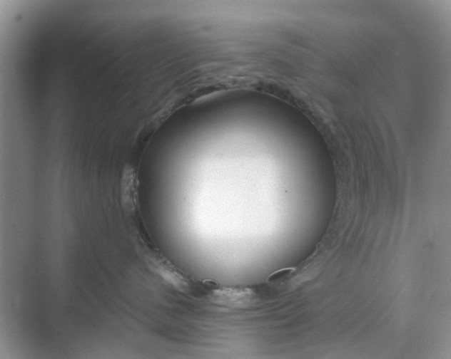 X0000068770480200605121706