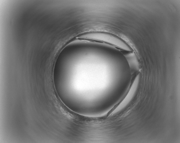 X0000068770481200605121705