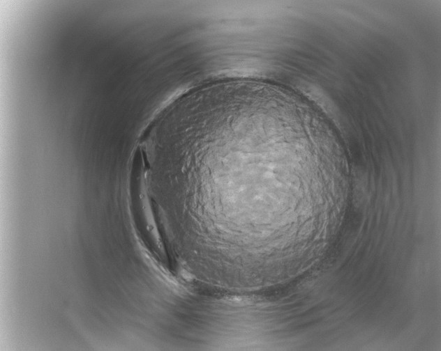 X0000068770482200605121705