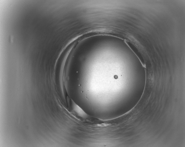 X0000068770484200605121705