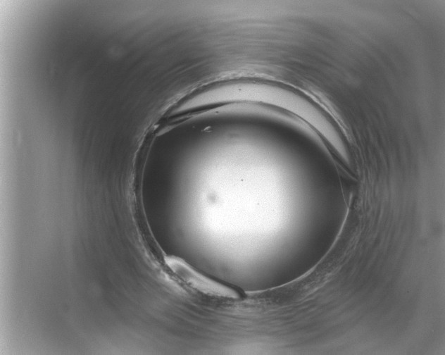 X0000068770485200605121705