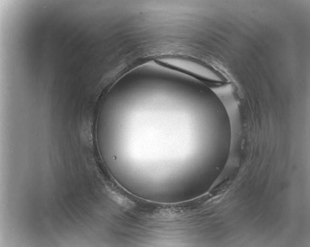 X0000068770489200605121705