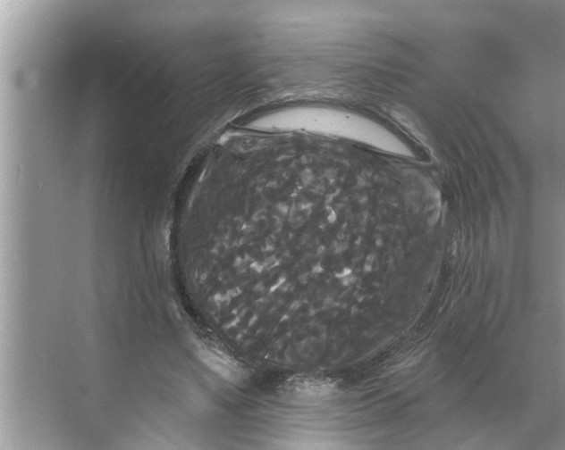 X0000068770491200605121705