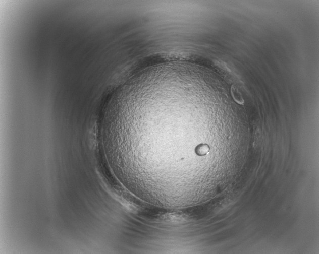 X0000068770498200605121705