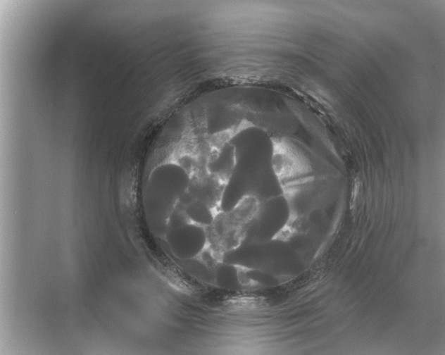 X0000068770499200605121705