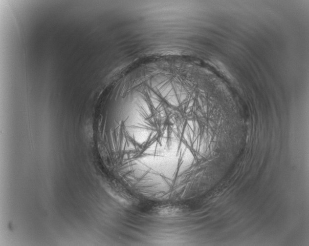 X0000068770500200605121705