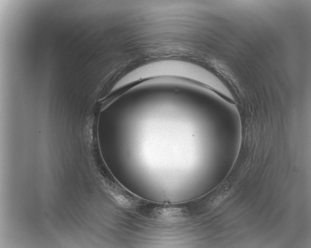 X0000068770501200605121705