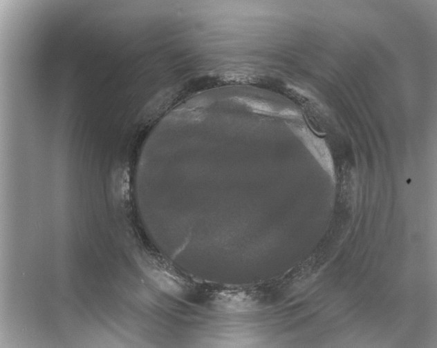 X0000068770502200605121705