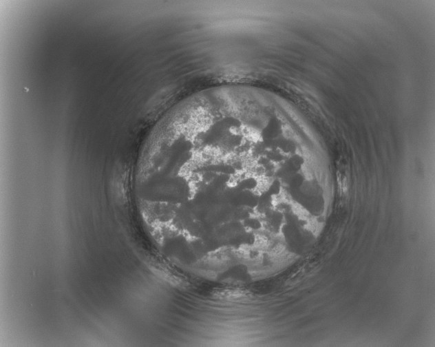 X0000068770503200605121705