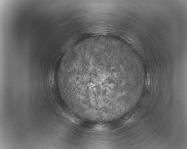 X0000068770504200605121705