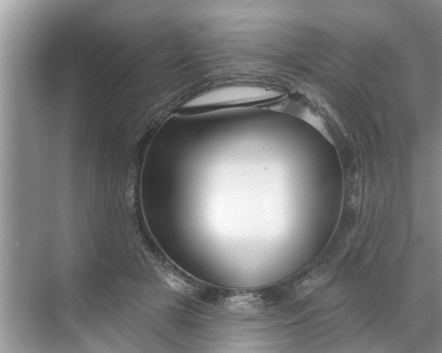 X0000068770505200605121705