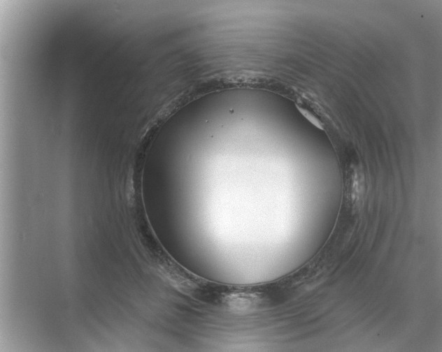 X0000068770508200605121705