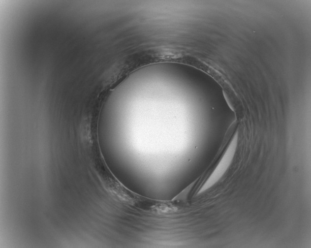 X0000068770512200605121705