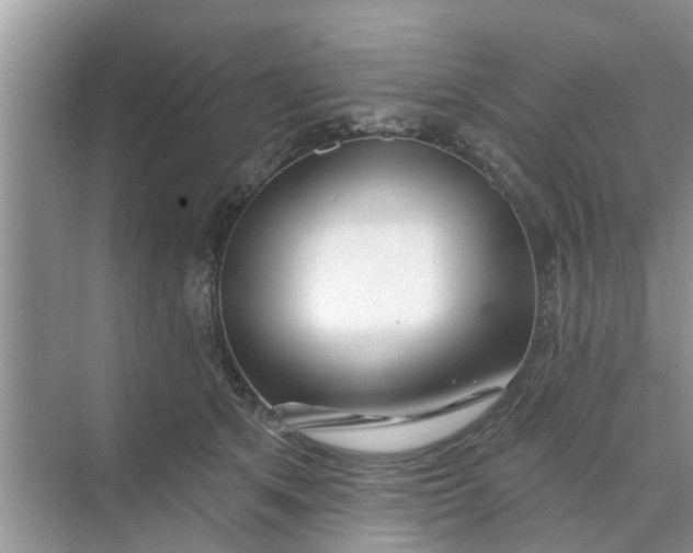 X0000068770513200605121705