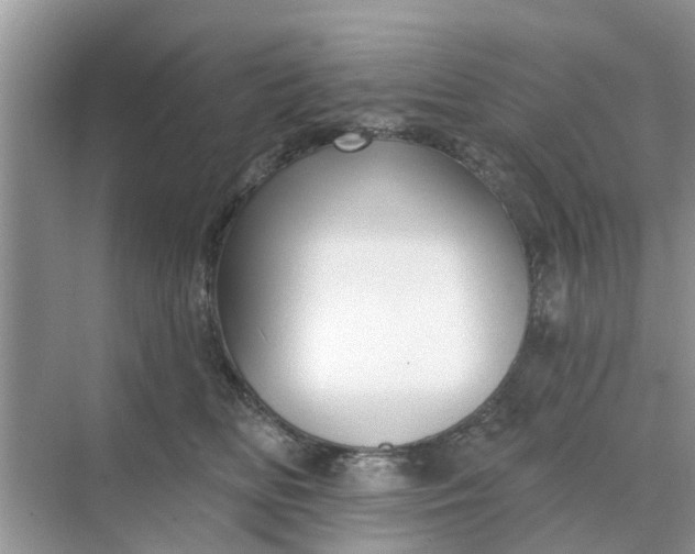 X0000068770518200605121705