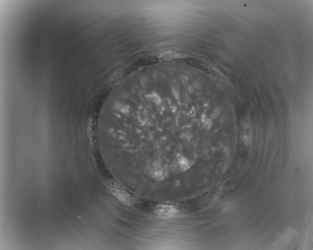 X0000068770519200605121705