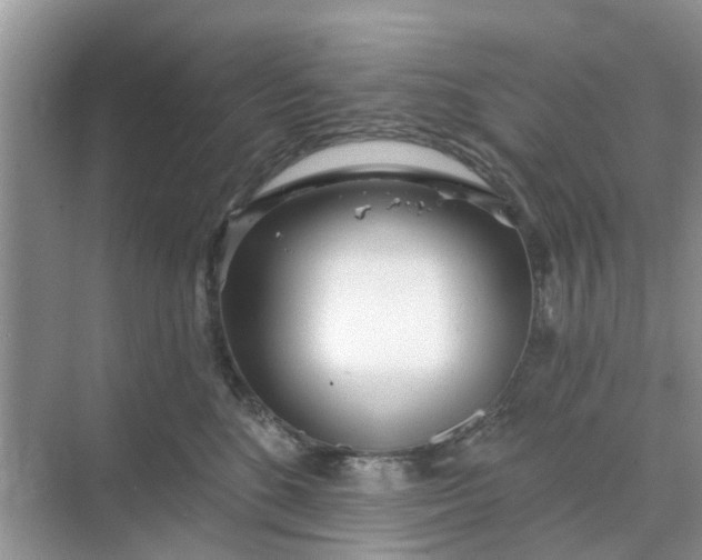 X0000068770520200605121705