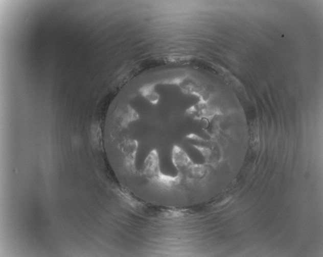 X0000068770523200605121705