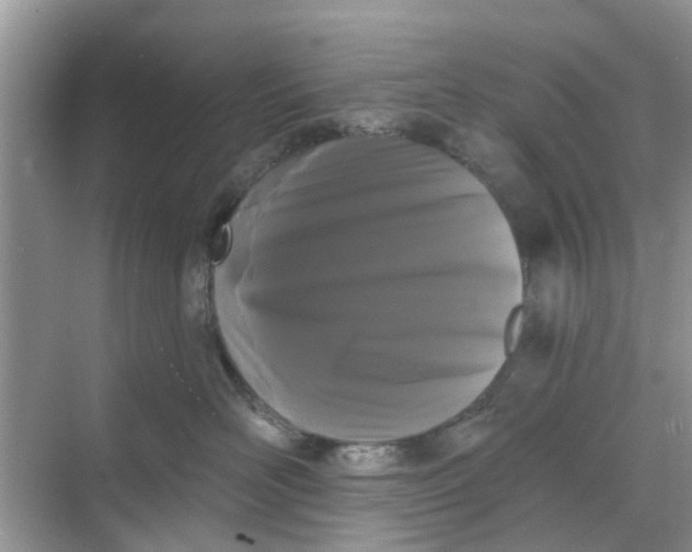 X0000068770526200605121705