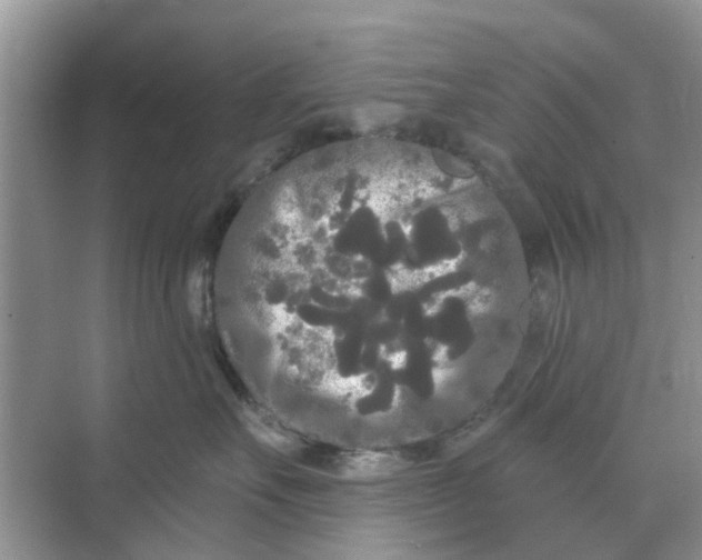 X0000068770527200605121705