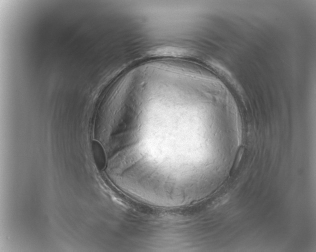 X0000068770529200605121704