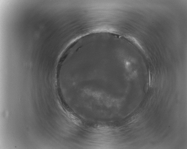 X0000068770531200605121704