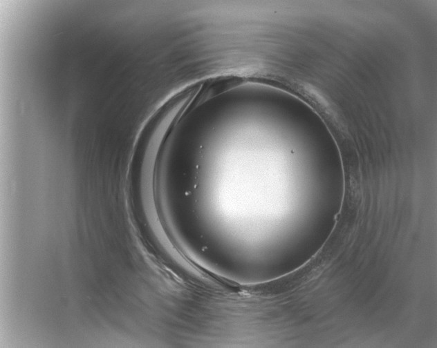 X0000068770532200605121704