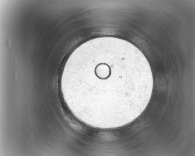 X0000068770534200605121704