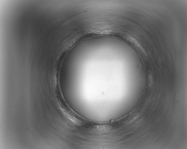 X0000068770541200605121704