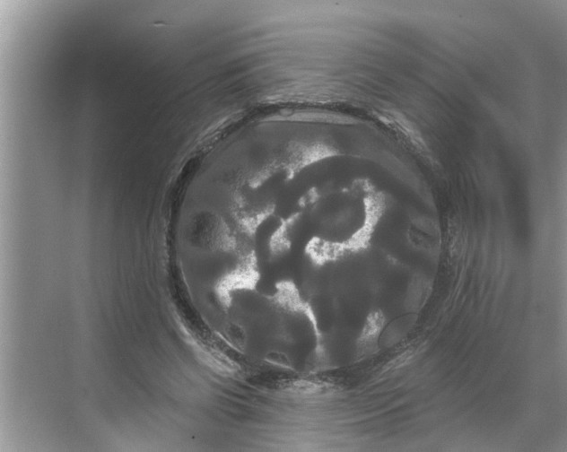 X0000068770542200605121704