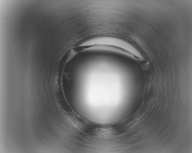 X0000068770548200605121704