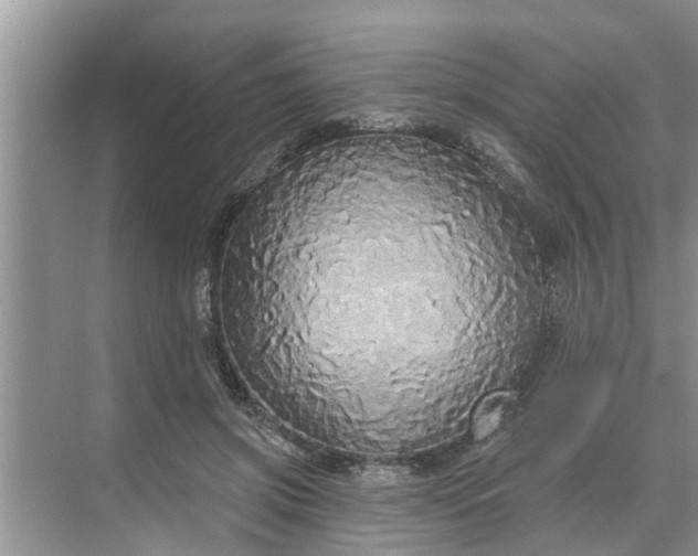 X0000068770549200605121704