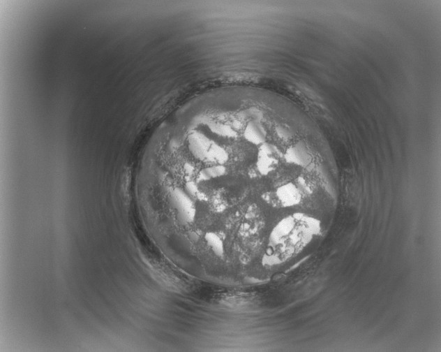 X0000068770550200605121704