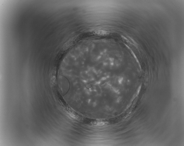 X0000068770553200605121704