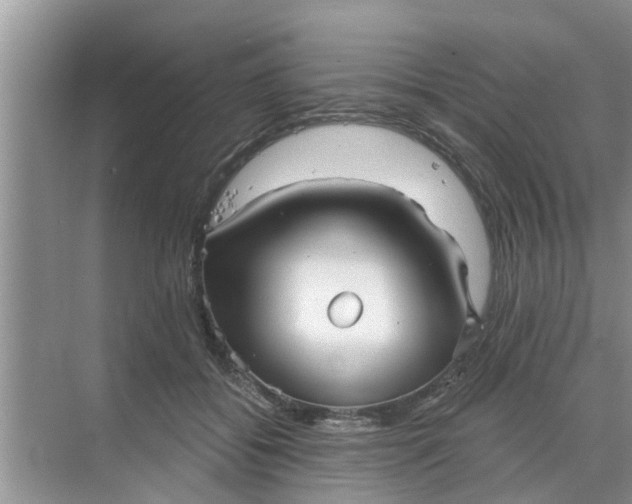 X0000068770556200605121704