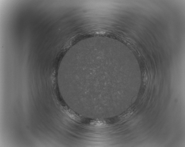 X0000068770559200605121704