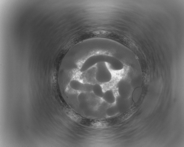 X0000068770561200605121704