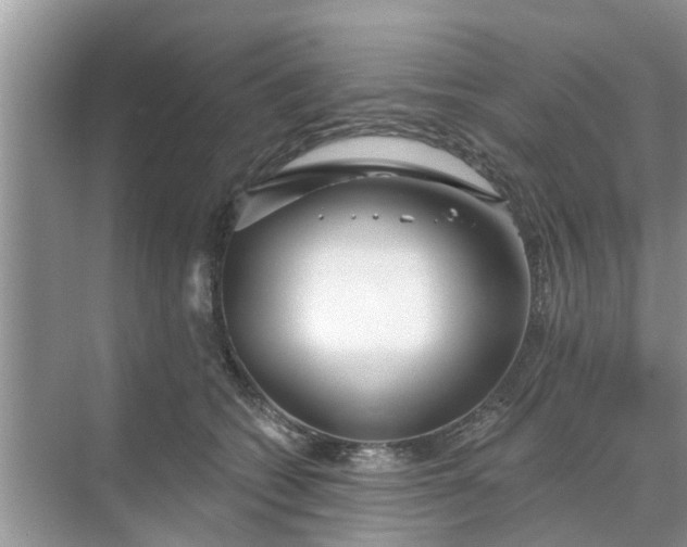 X0000068770562200605121704