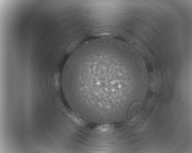 X0000068770563200605121704