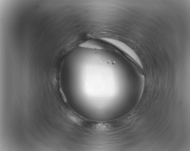 X0000068770566200605121704