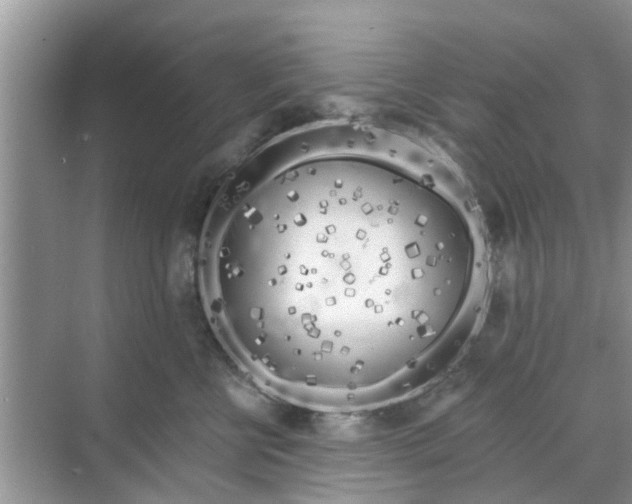 X0000068770570200605121705