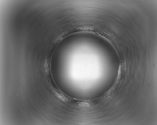 X0000068770572200605121705